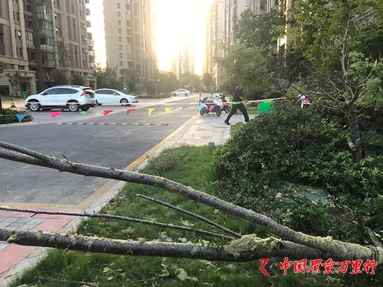 記者準(zhǔn)備離開(kāi)時(shí),發(fā)現(xiàn)保安在事故現(xiàn)場(chǎng)再拉了一道警戒線。