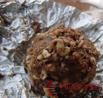 高價(jià)名牌巧克力費(fèi)列羅被曝爬出蛆蟲(chóng)