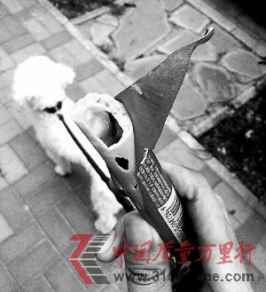 czһӣǿĵģcw߀3С